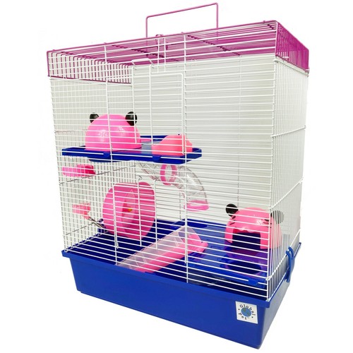 Calypso small dwarf hamster - calypso,