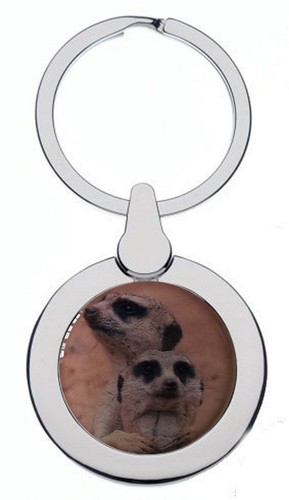 Meerkats chrome keyring - meerkats,
