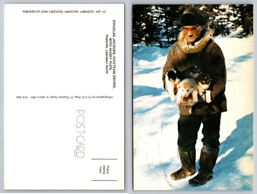 Vintage postville labrador - vintage,