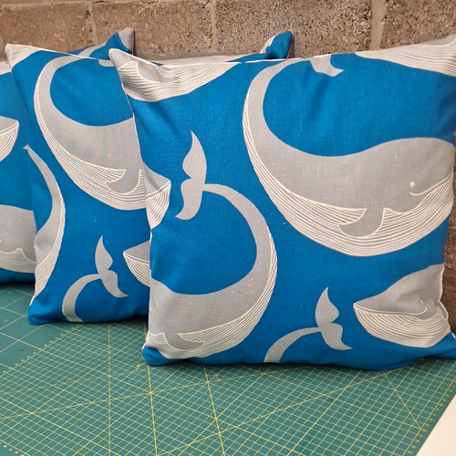 Trio scion whale time - scion,