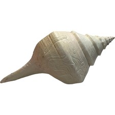 Boho Shell Conch Shaped Table