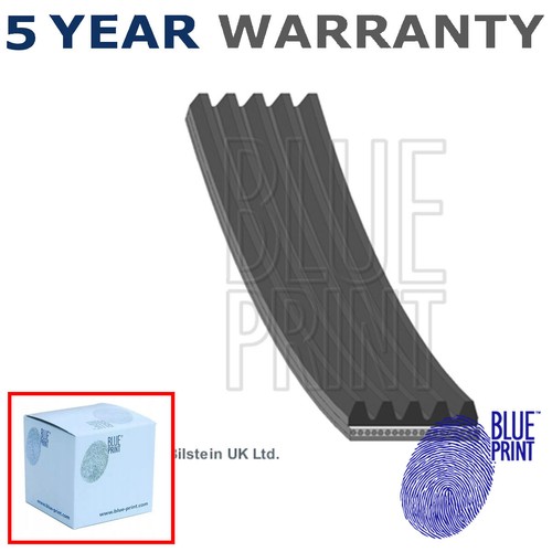 Alternator belt blue print - belt,