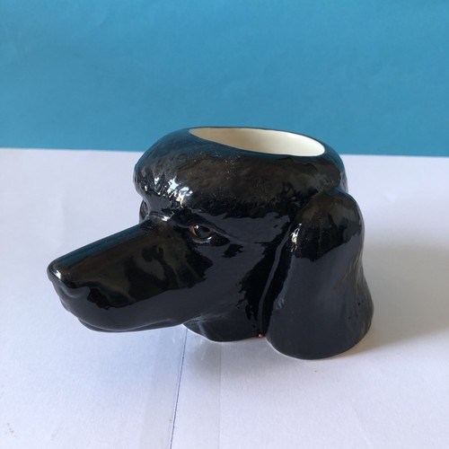 Black poodle face - poodle,