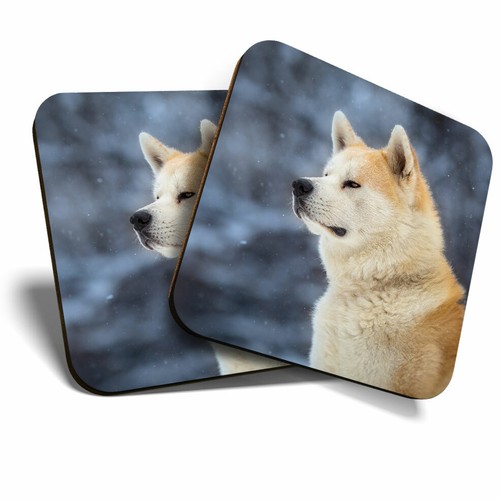 Coasters akita japanese - 2, x