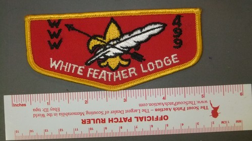 Boy scout 499 white feather - scout,