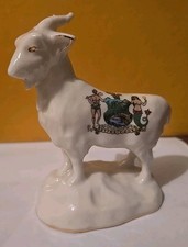 Crested China Welsh Goat On