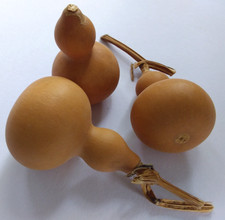 3 Natural Dried Chinese Gourds. 5-9.5cm. Decor/Ornament/Flower Arranging/Crafts