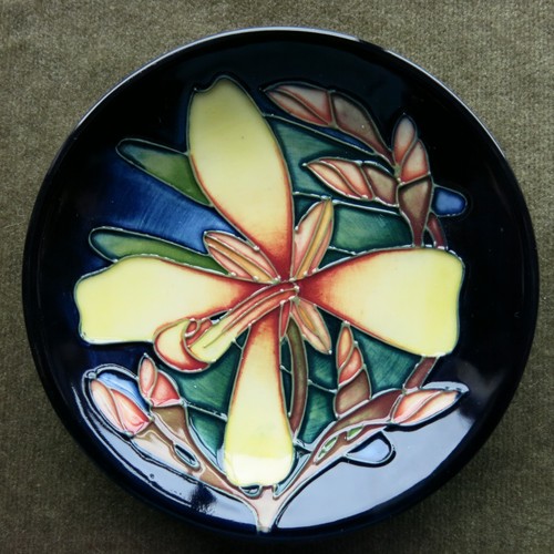 Moorcroft pottery panache pin - pottery,
