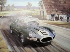 1955 Le Mans Mike Hawthorn