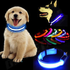 USB Rechargable LED Dog Pet