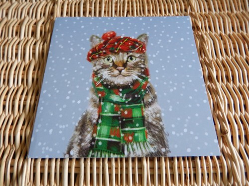 Christmas card tabby cat with - christmas,