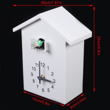 Modern Cuckoo Clock Bird Wall