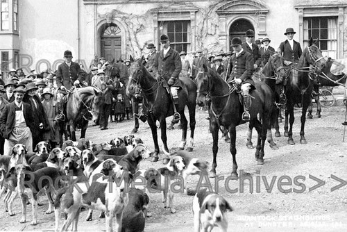 Bch meet the - of, quantock