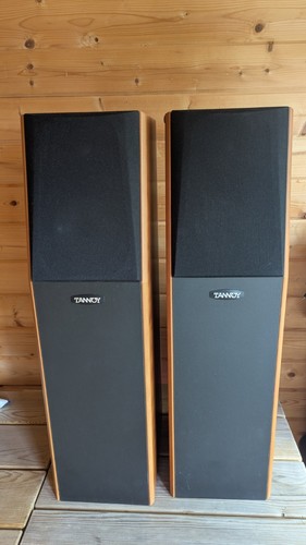 Tannoy p20 precision - tannoy,