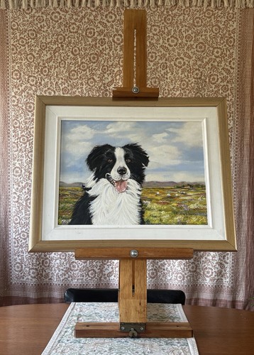 Welsh border collie - welsh,