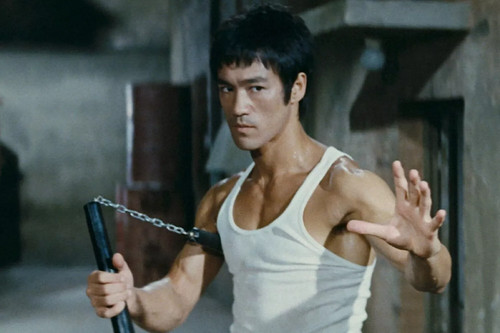 Martial artist actor - actor, bruce