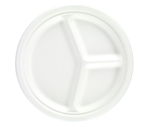 Biodegradable bagasse - biodegradable,