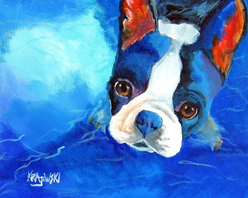 Boston terrier print - print, of