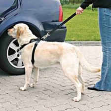 Trixie Car Harness M: 50