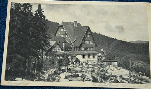 53318 silesia giant - ak,