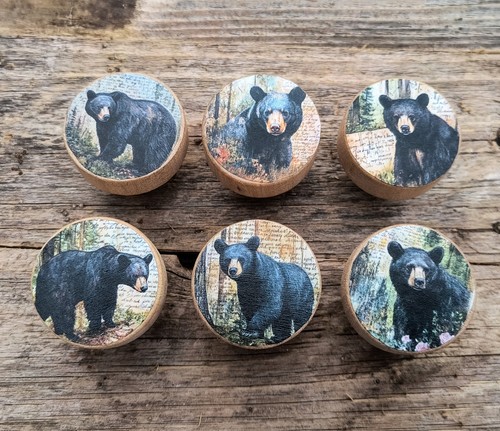 Black bear cabinet knobs - cabinet,