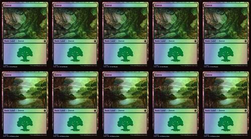 Mtg 10x foil forest basic - 10x,
