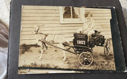 1927 girl goat - 1927,