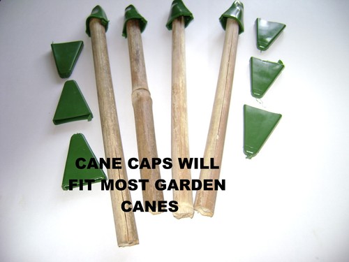 Large garden cane - large, 30