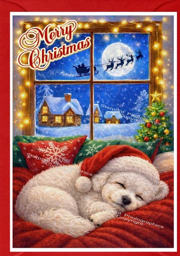 Bichon frise dog - frise,