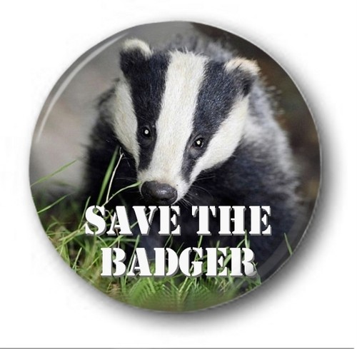 Save the badger 25mm 1 - the, 1"