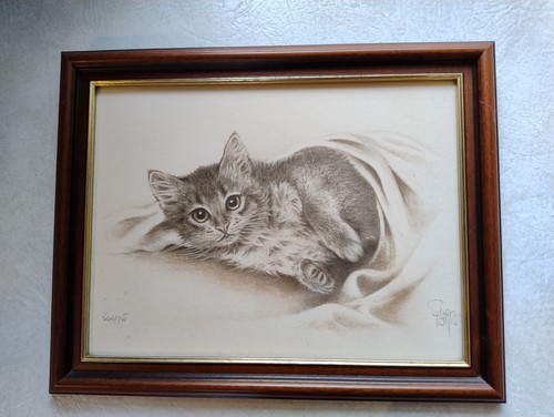 Cat print sue willis - sue,