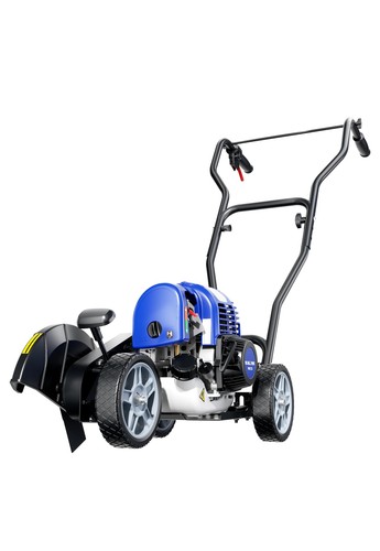 Gas walk behind - lawn, edger