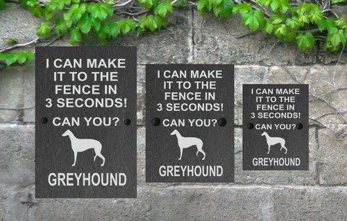 Dog slate gate sign can - gate,