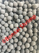 10 shrimp Mineral Balls 8-10mm