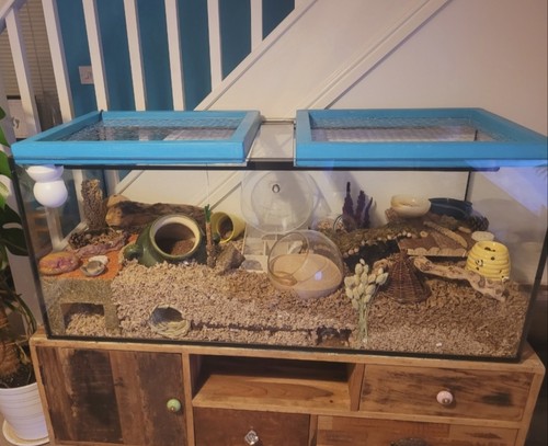 4ft glass tank - 4ft,
