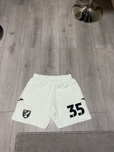 Norwich city match worn kellen - worn,