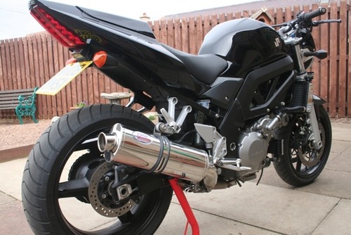 1000 suzuki sv1000 - suzuki,