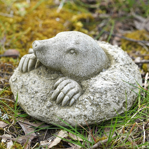 Peeping mole stone garden - peeping,