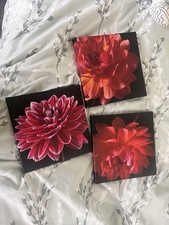3 Small Flower Prints Wall Art