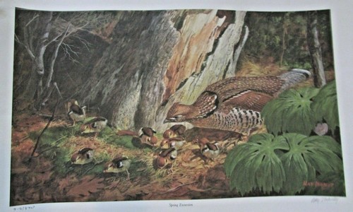 Lmas wildlands conservancy - lmas,