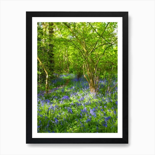 Bluebell wood art print - bluebell,