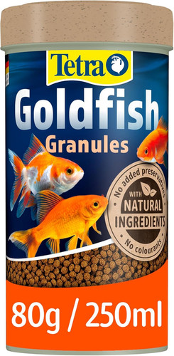 Tetra goldfish fish - goldfish,