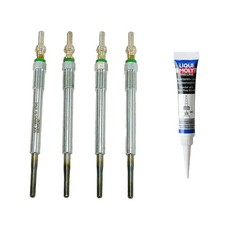 Glow Plug Set + Mounting