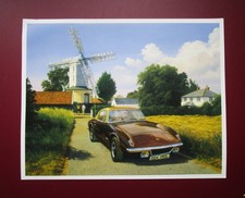 MALCOLM ROOT 9.20" x 7.30" CAR