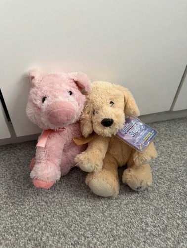 Dog and pig shining star - pig,