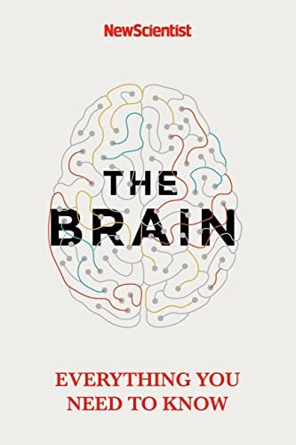 The brain everything you - brain:, need