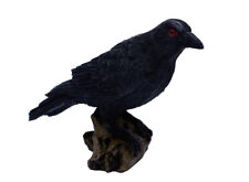Crow