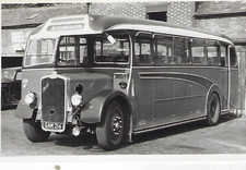 Bus photo gam214 wilts - bus,