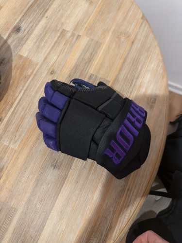 Manchester storm ice hockey - manchester,