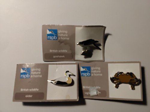 Rspb pin badges eider - rspb, velvet